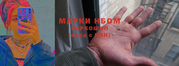 индика Алексин