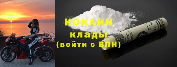 индика Алексин