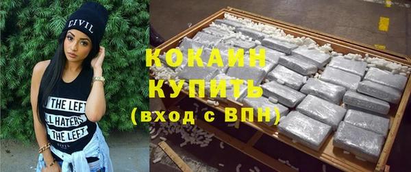 индика Алексин
