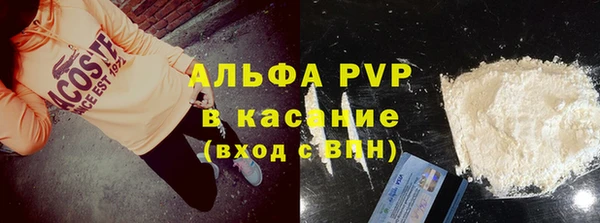 индика Алексин