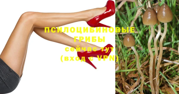 индика Алексин
