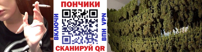Конопля семена  Макушино 